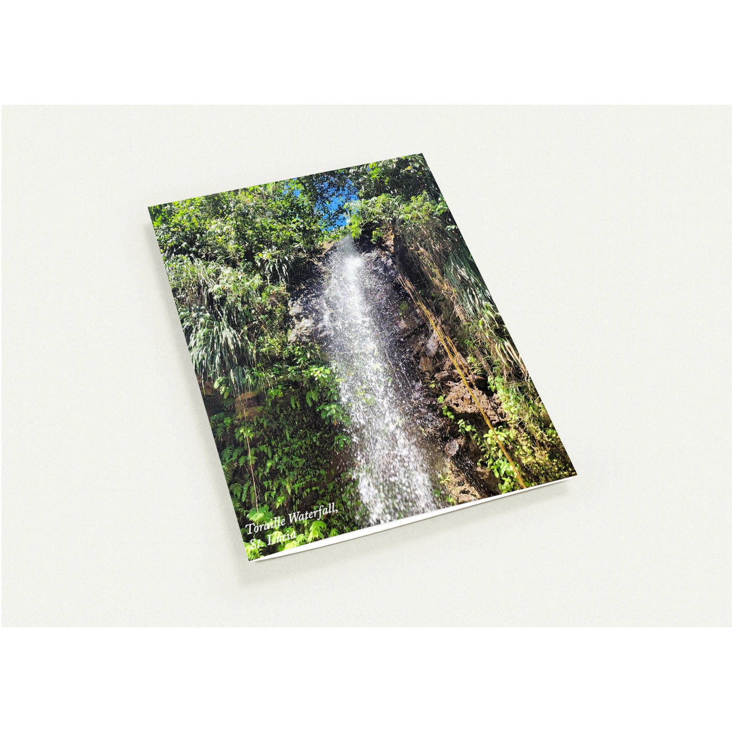 14a7a00d-125a-4932-8b43-b8b40ba313b2