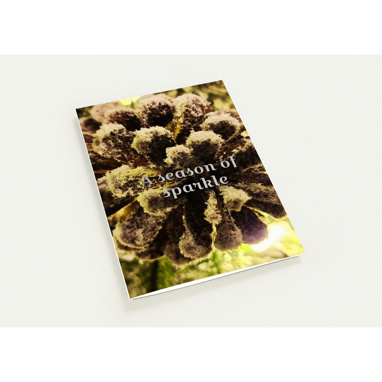 36bc7c82-89ab-4e04-9383-002ec31584b6