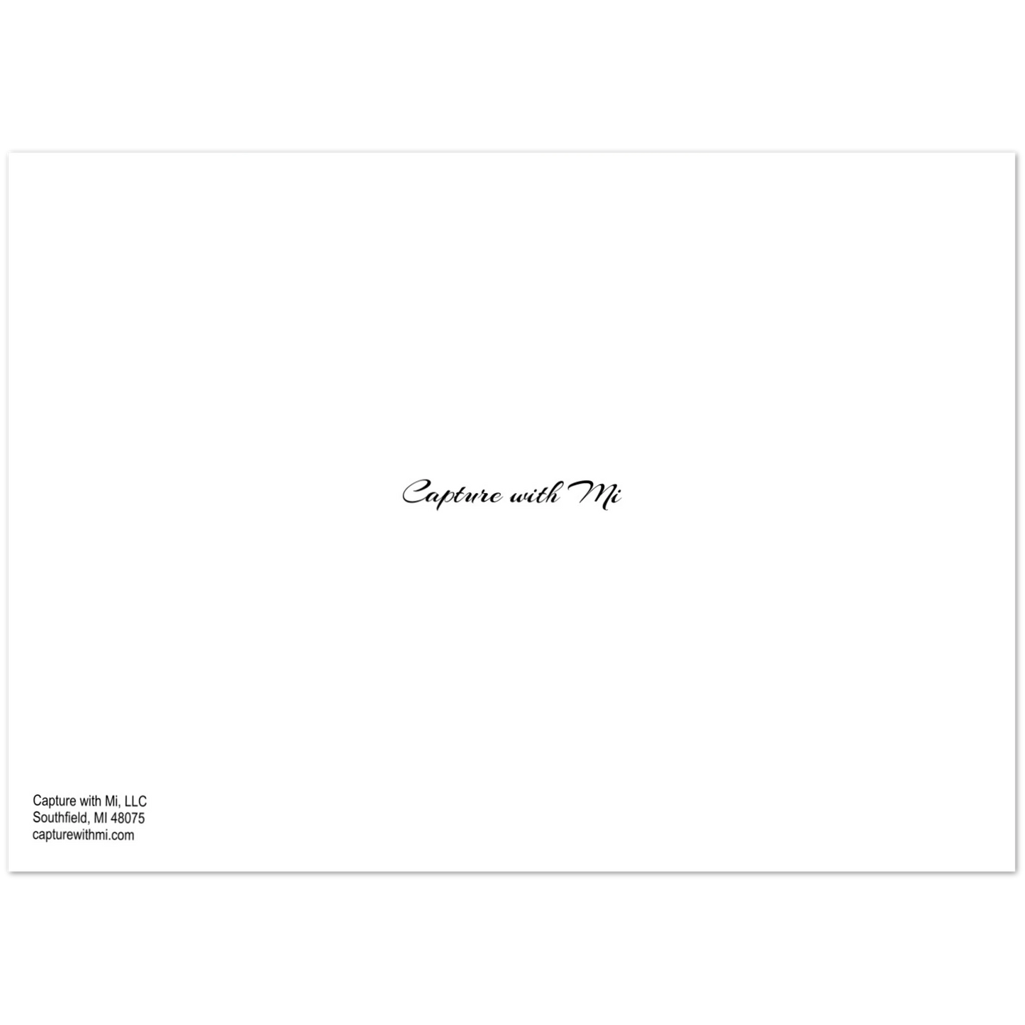 3dadc315-d5e9-417e-bf7b-dcb485cc191d