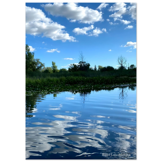 469c94c2-6dde-4c91-8e30-7698eba2f44b