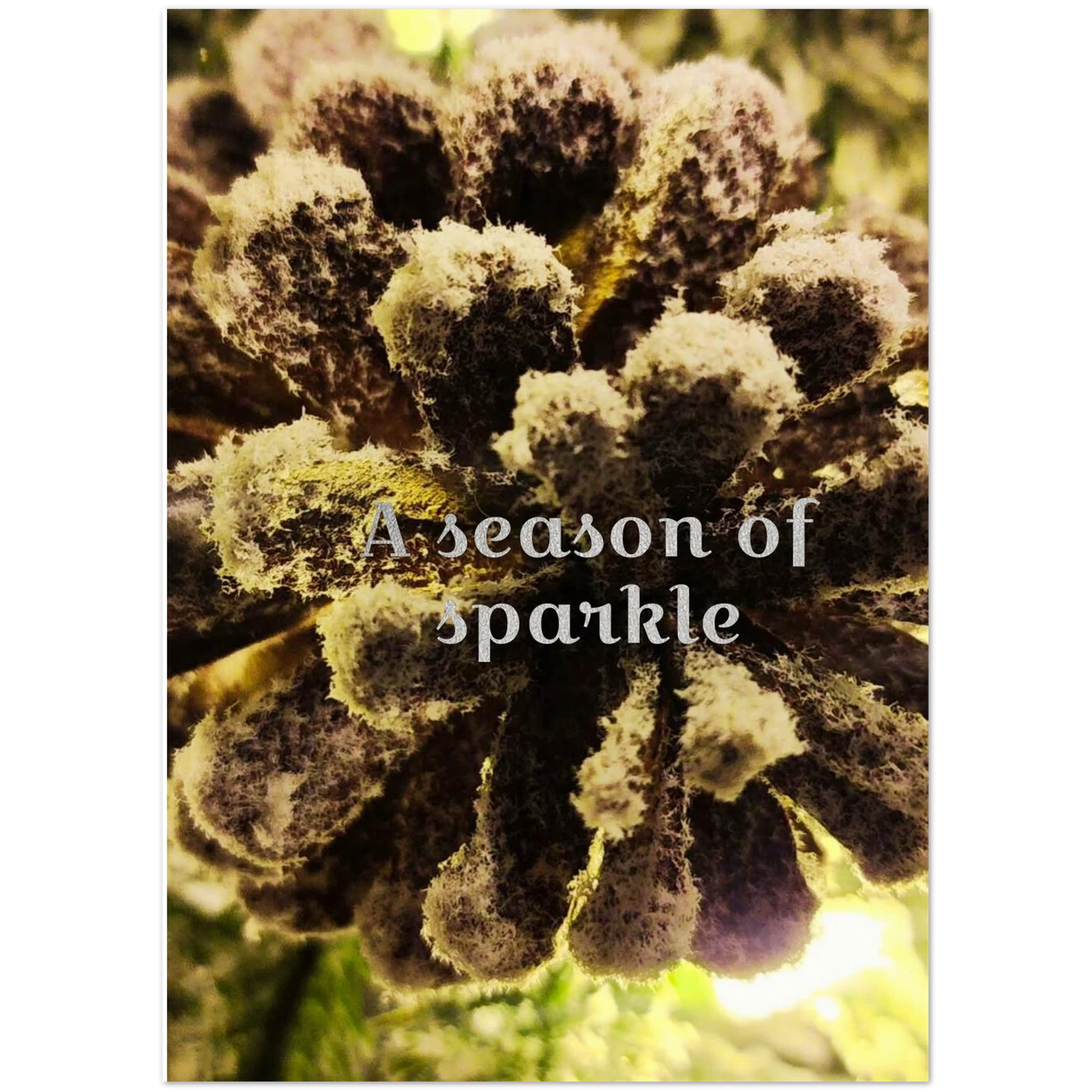 0ebb9111-a617-4846-95f8-0e16fd4b8954