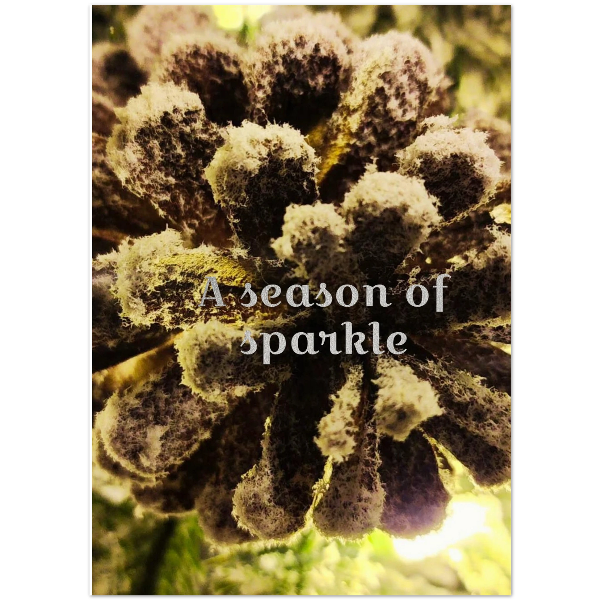 0ebb9111-a617-4846-95f8-0e16fd4b8954