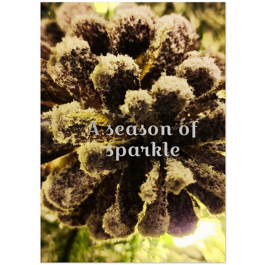 0ebb9111-a617-4846-95f8-0e16fd4b8954