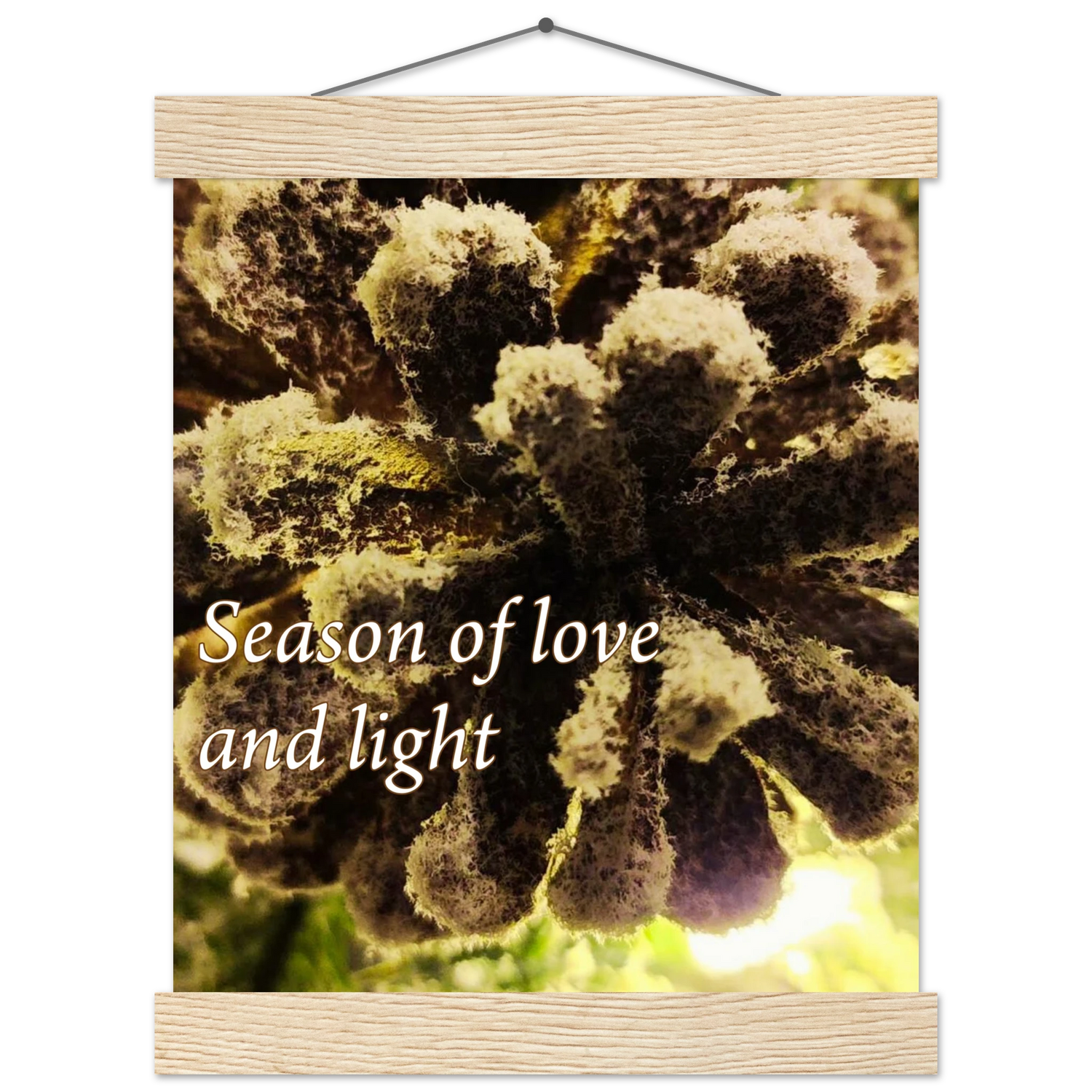 1f6b16c4-169d-4278-b047-8e2446c1dce8