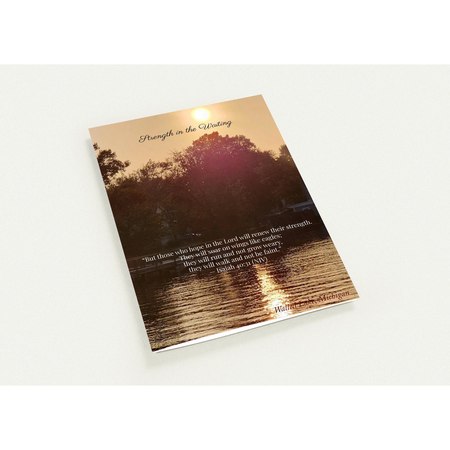 37c02508-58e2-48e5-921c-c7390bcd17e6