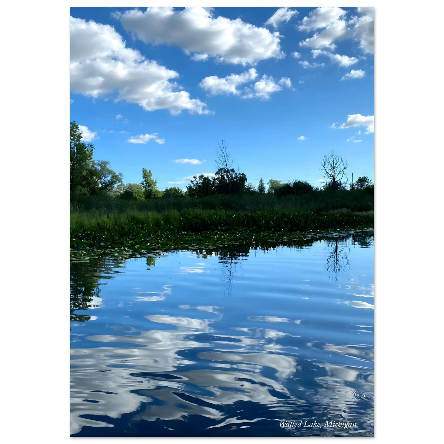 469c94c2-6dde-4c91-8e30-7698eba2f44b