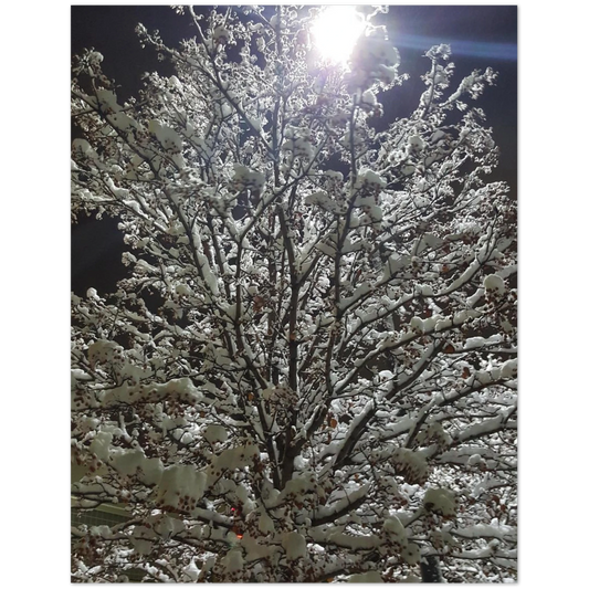 8252522a-77a2-4185-bbb7-5319e89a0b15