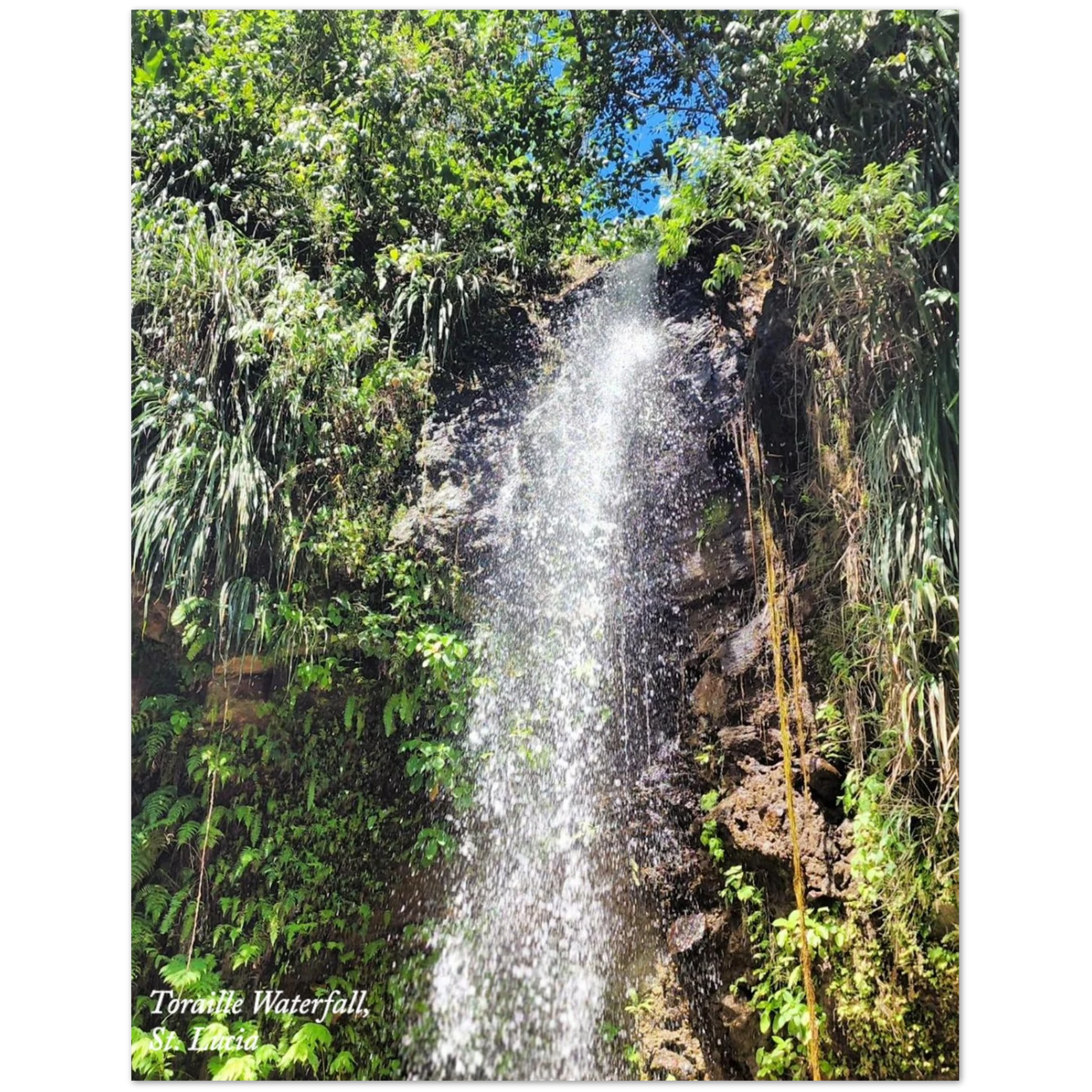 96c44109-0ec6-4457-a589-86b911148792