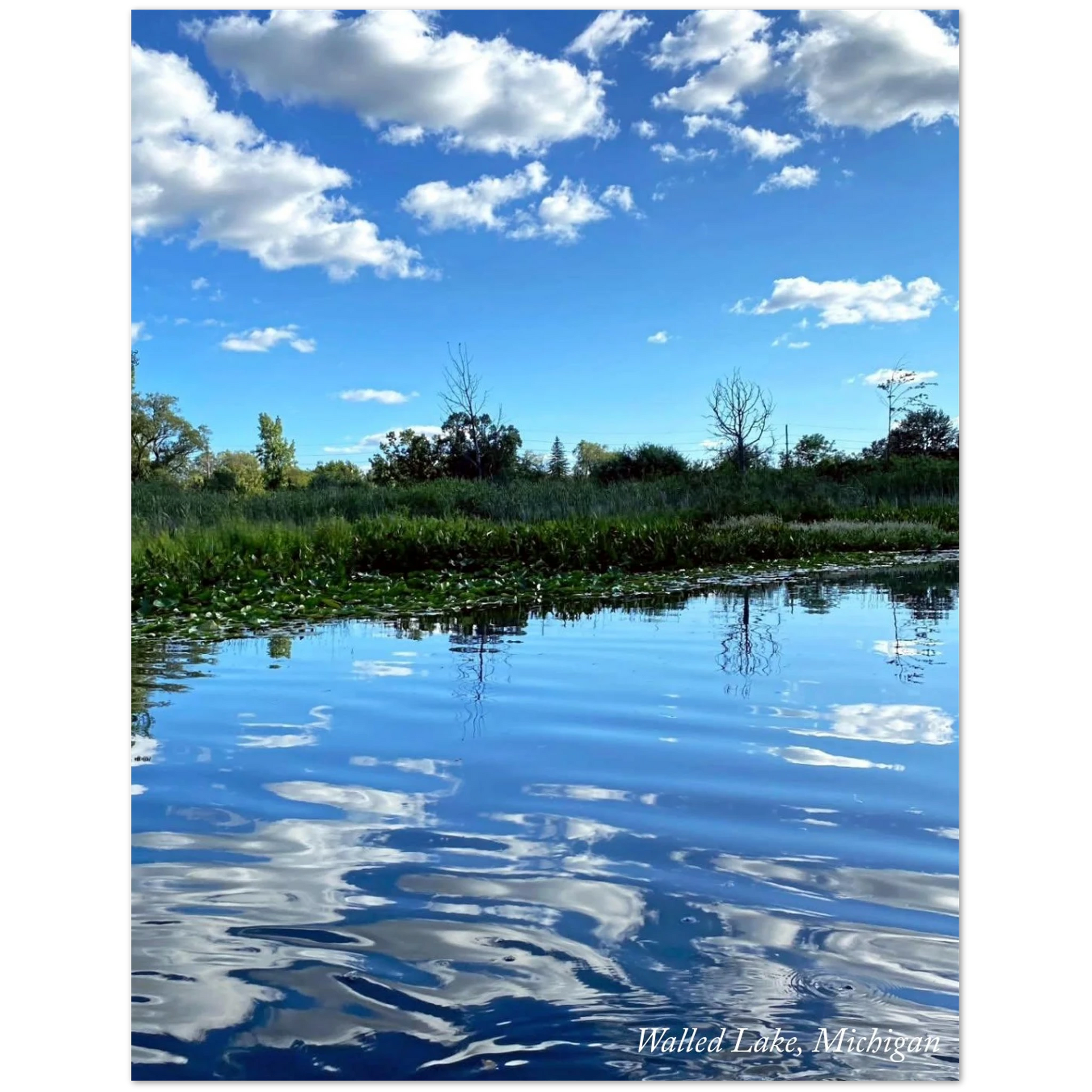 f52cf1f0-0d86-4f61-81ab-0fdf3fc814ff