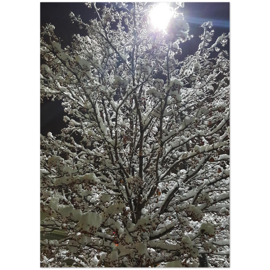 f61e1c82-0491-443a-b58c-5444af4ef4f3